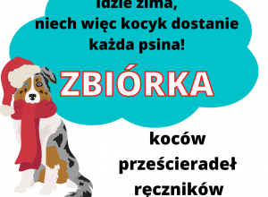 Idzie zima - kocyk dostanie każda psina