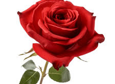 Życzenia dla Babci i Dziadka