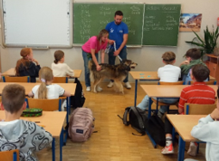 Goście z łódzkiego schroniska zwierząt